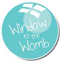  Window To The Womb Promo Codes